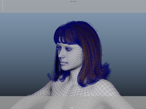 Female Hair 3D Model