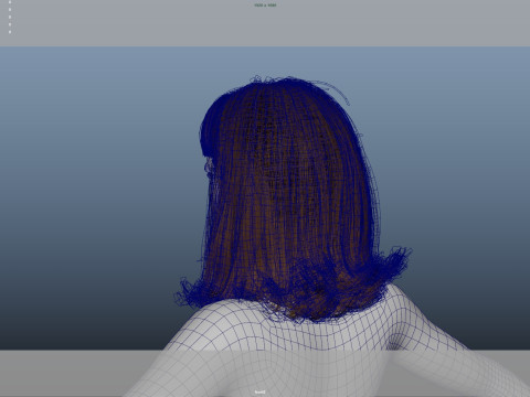 Female Hair 3D Model