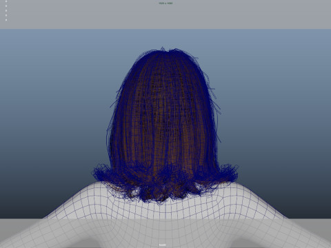 Female Hair 3D Model