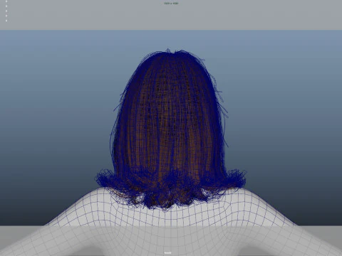 Female Hair 3D Model