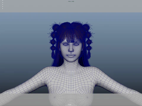 Female Hair 3D Model