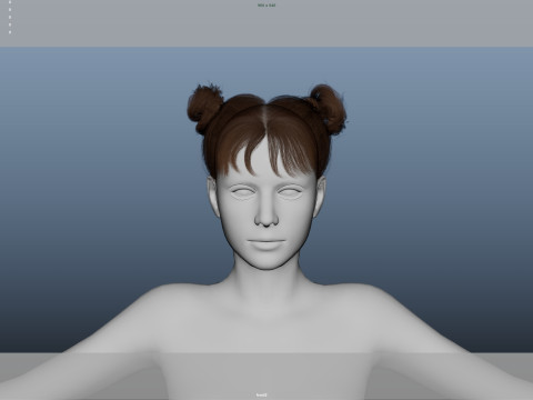 Female Hair Modelo 3D
