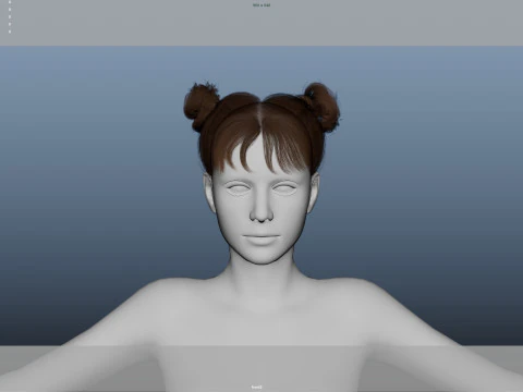 Female Hair 3D Model