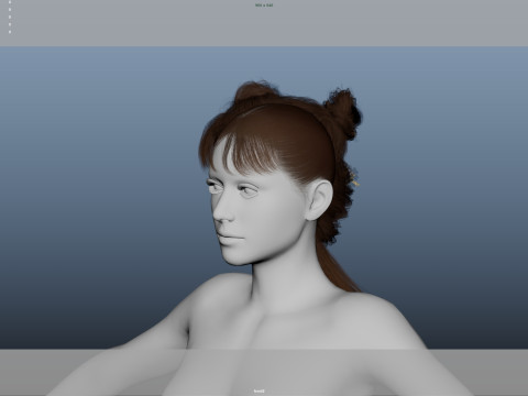 Female Hair Modelo 3D