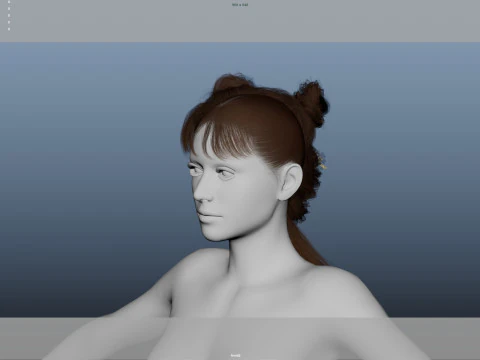 Female Hair 3D Model