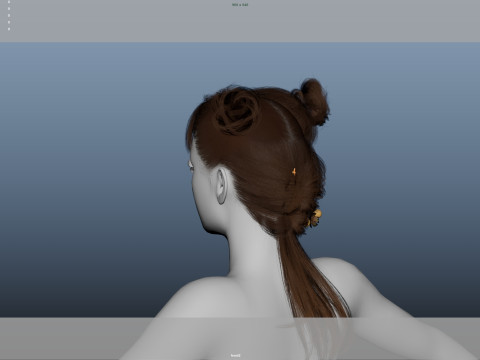 Female Hair Modelo 3D