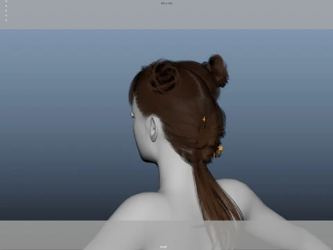 Female Hair 3D Model