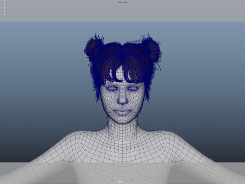 Female Hair Modelo 3D