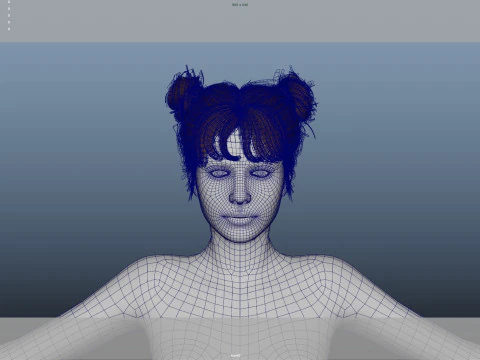 Female Hair 3D Model