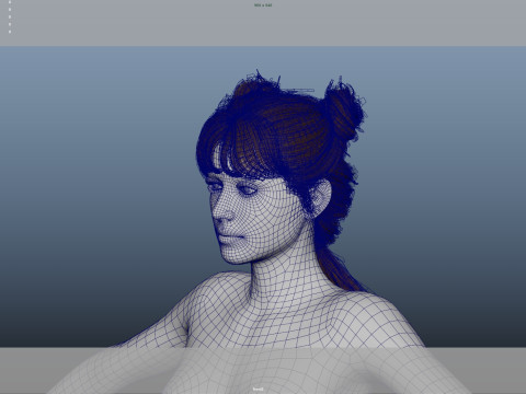 Female Hair Modelo 3D