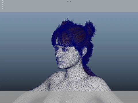 Female Hair 3D Model