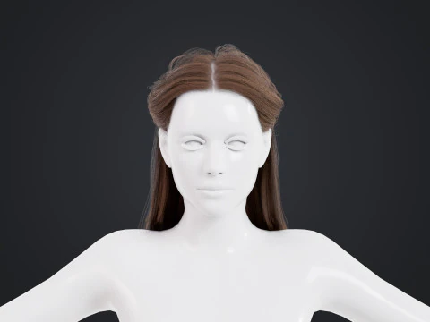 Female Hair 3D Model