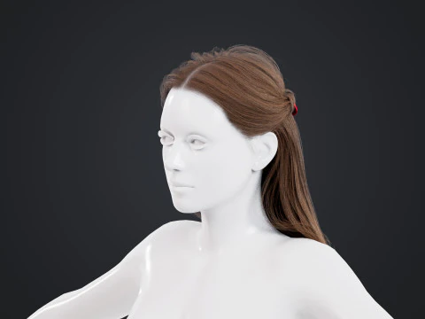 Female Hair 3D Model