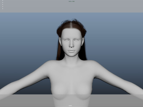 Female Hair 3D-Modell