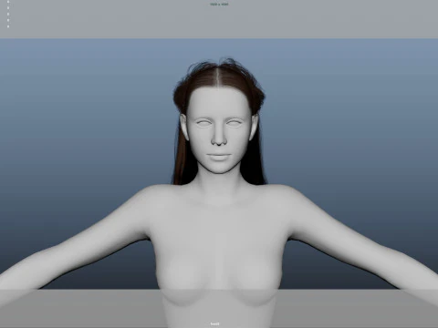 Female Hair 3D Model