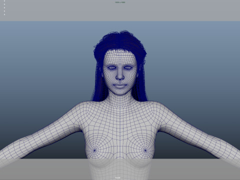 Female Hair 3D-Modell