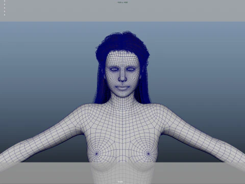 Female Hair 3D Model
