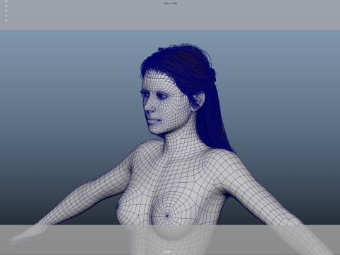 Female Hair 3D-Modell