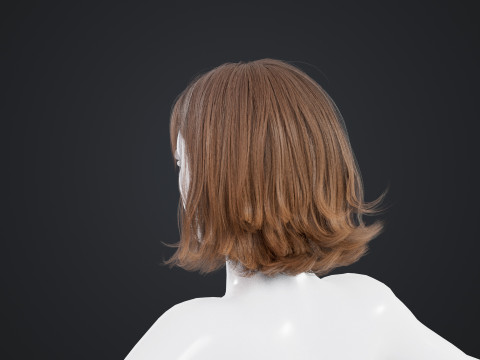 Female Hair Model 3D