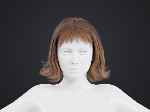 Female Hair 3D Модель