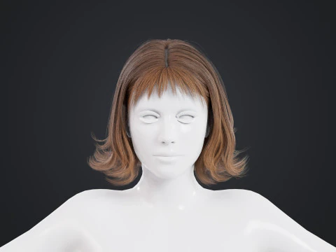 Female Hair 3D Model