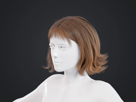 Female Hair 3D Model