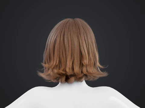 Female Hair 3D Model