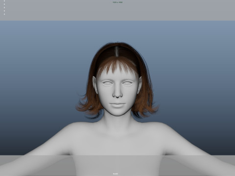 Female Hair 3D Модель