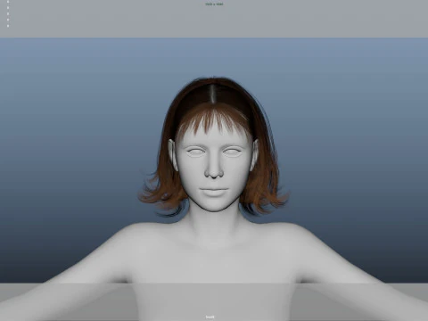 Female Hair 3D Model