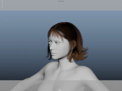 Female Hair 3D Model