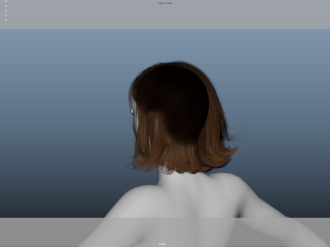 Female Hair 3D Модель