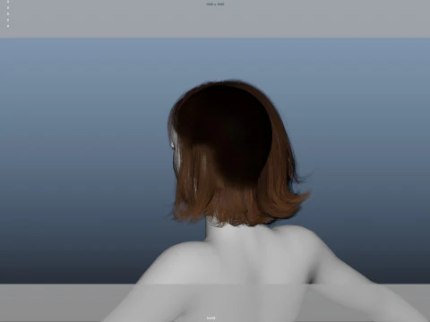 Female Hair 3D Model