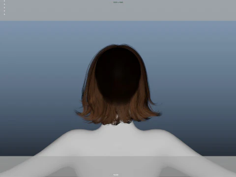 Female Hair 3D Model