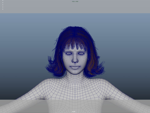 Female Hair 3D Модель