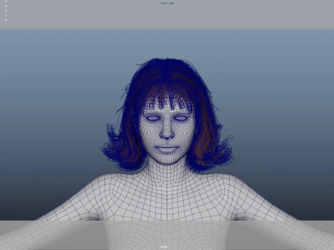 Female Hair 3D Model