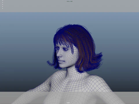 Female Hair 3D Model