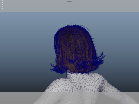 Female Hair 3D Модель