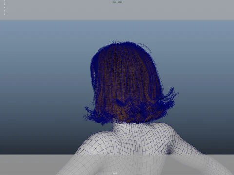 Female Hair 3D Model