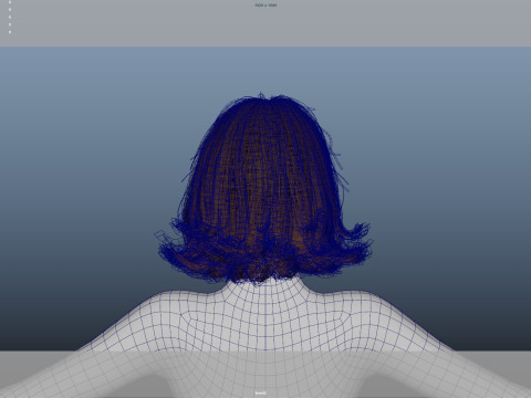 Female Hair 3D Модель