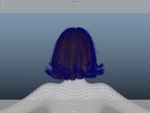 Female Hair 3D Model