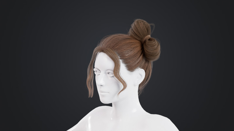 Female Hair 3D Model .c4d .max .obj .3ds .fbx .stl .blend 