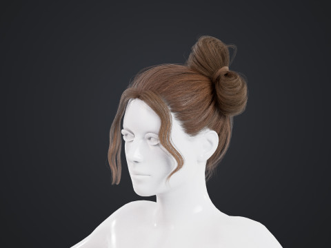 Female Hair 3D Model