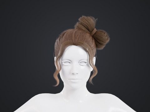 Female Hair 3D Model