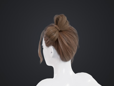 Female Hair 3D Model