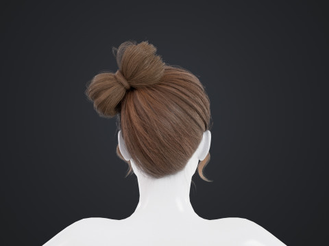 Female Hair 3D Model