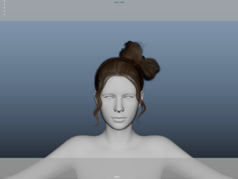Female Hair 3D Model