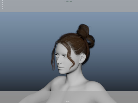 Female Hair 3D Model