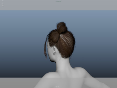 Female Hair 3D Model