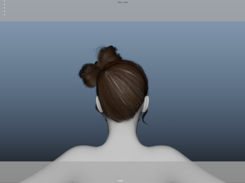 Female Hair 3D Model