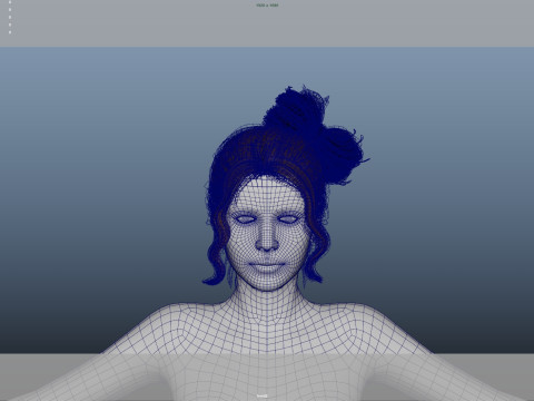 Female Hair 3D Model